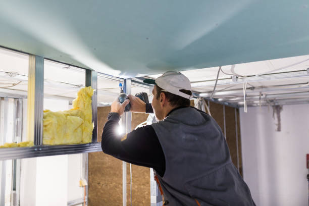 Best Commercial Insulation in Leland, MS